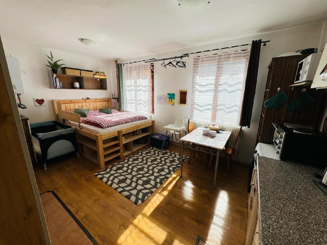 Apartmany Srub Jenisov Horní Planá Kültér fotó