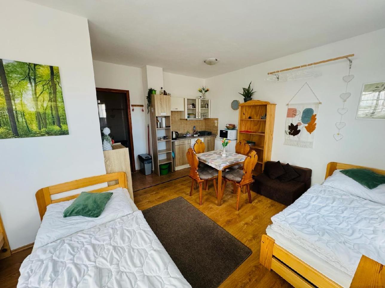Apartmany Srub Jenisov Horní Planá Kültér fotó